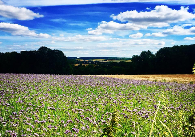 The beautiful Candover valley